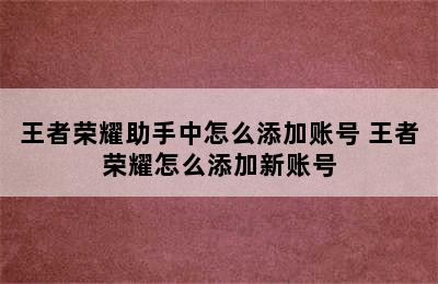 王者荣耀助手中怎么添加账号 王者荣耀怎么添加新账号